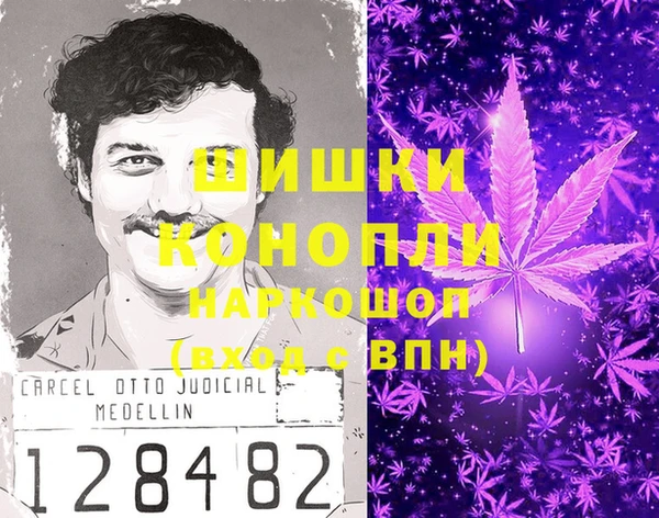 СК Михайлов
