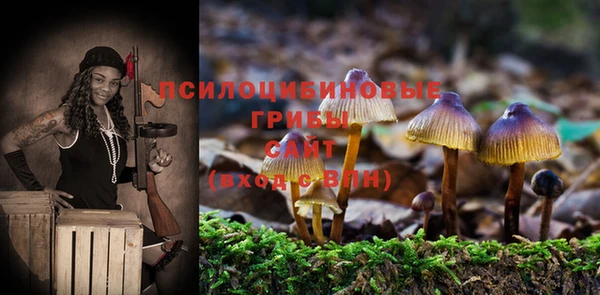 СК Михайлов