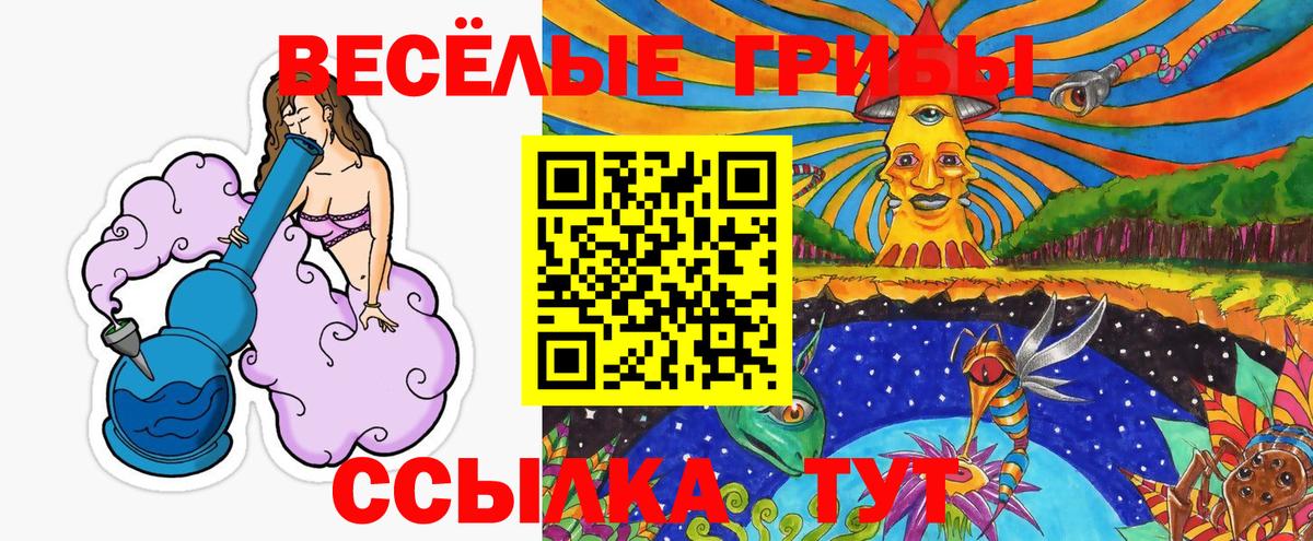 Галлюциногенные грибы Cubensis Костомукша
