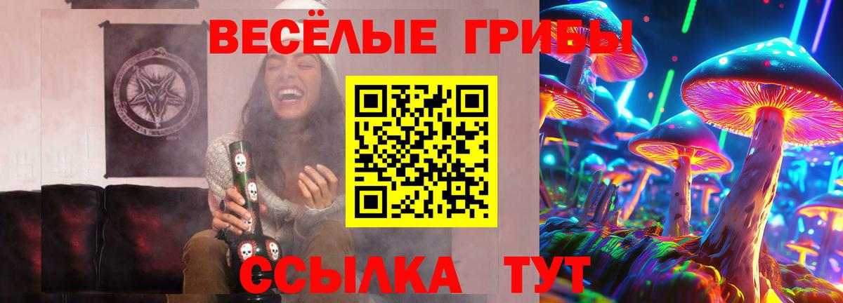 Костомукша  даркнет сайт  Вход с VPN  Галлюциногенные грибы мицелий 