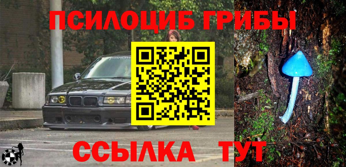 Псилоцибиновые грибы Magic Shrooms  Костомукша  Галлюциногенные грибы Cubensis 