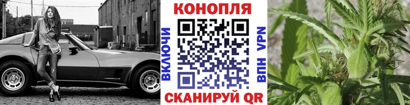 где найти наркотики  Костомукша  Канабис конопля 